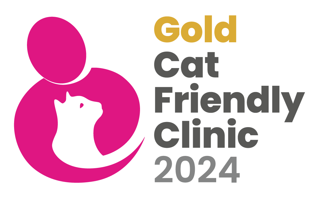 Cat Friendly Clinic | Cockburn Vets