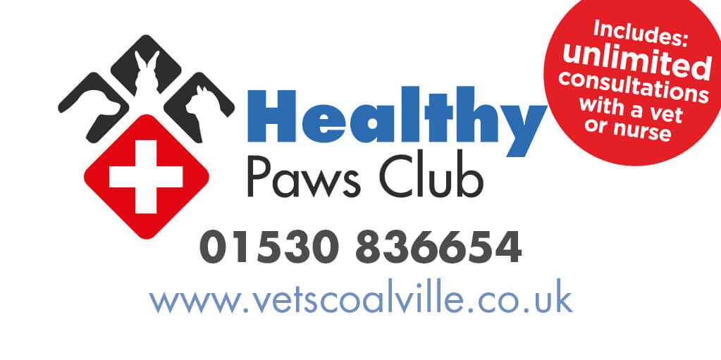 Healthy paws discount prescription food