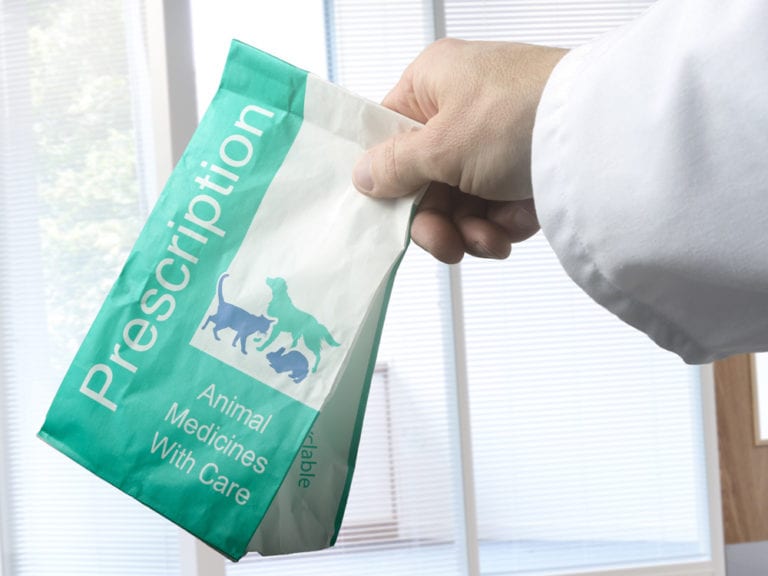 Order Pet Prescriptions Online with our Easytouse Form Cockburn Vets