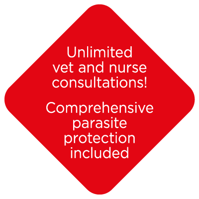 Unlimited Vet and Nurse Consultations | Cockburn Vets Healthy Paws Club