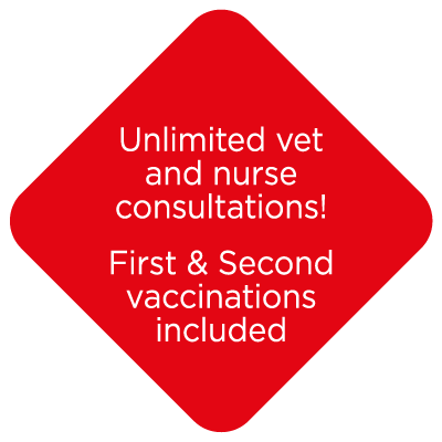 Unlimited Vet and Nurse Consultations | Cockburn Vets Juniors Paws Club