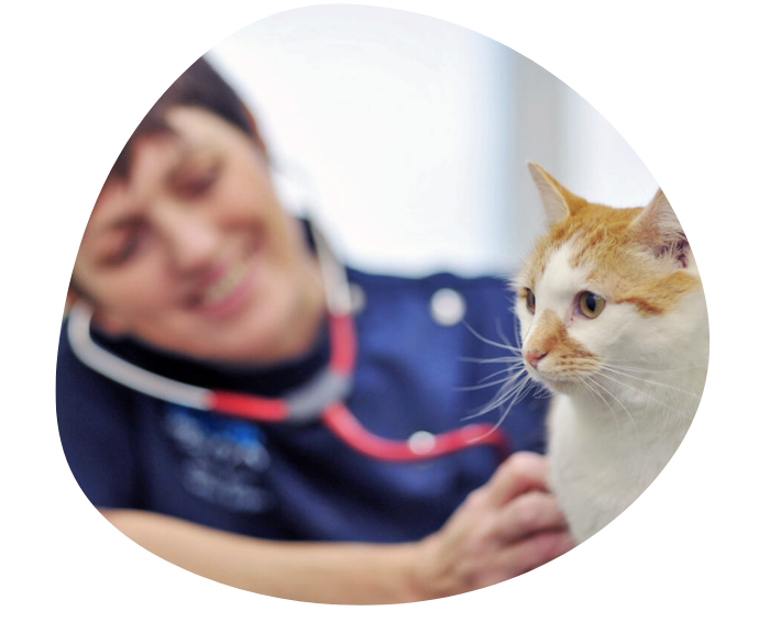 Pet health library