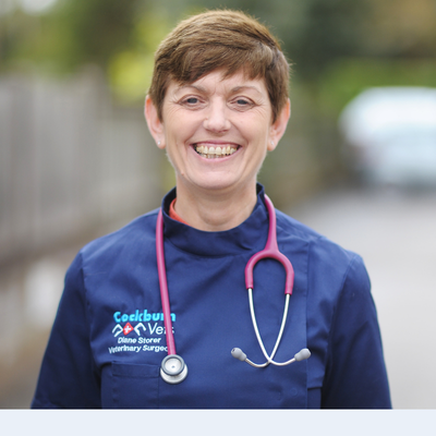 Diane Storer
