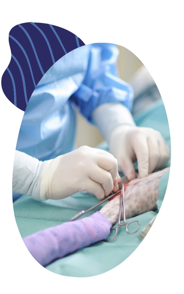 Cockburn Vets Orthopaedic Surgery