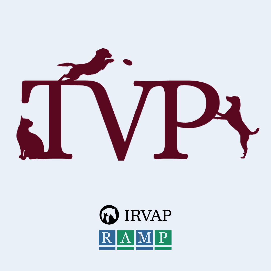 TVP